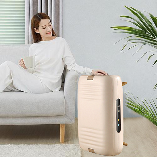 완전 자동 휴대용 UV 소독 증기 탈취 스탠드 행잉 다림질 접이식 의류 건조기